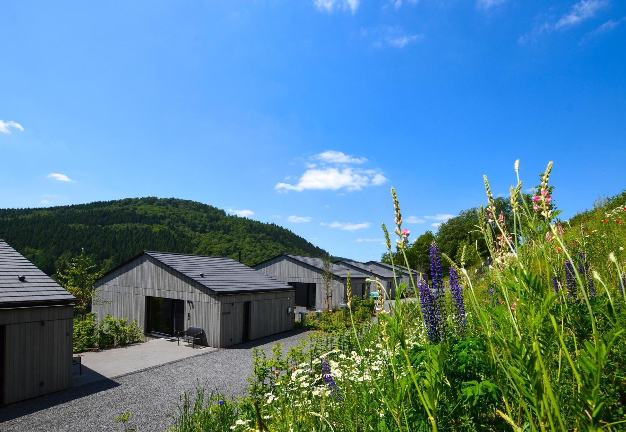 Sauerland Lodge - Haus Julius Winterberg Exterior photo
